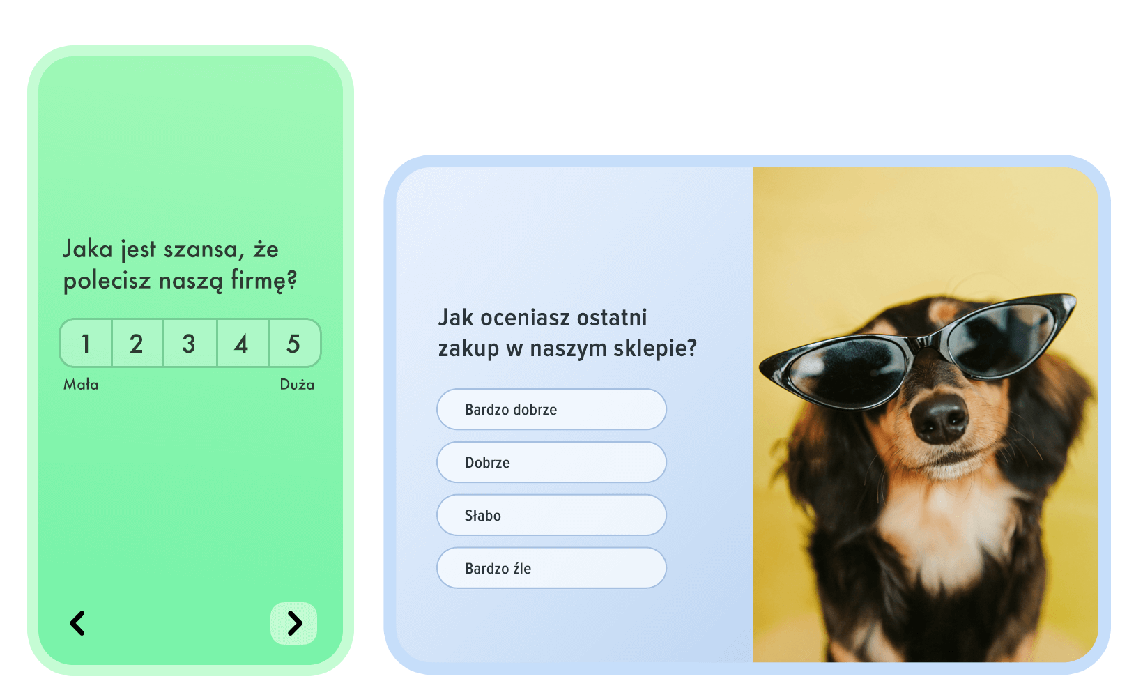 Przykładowe ankiety online